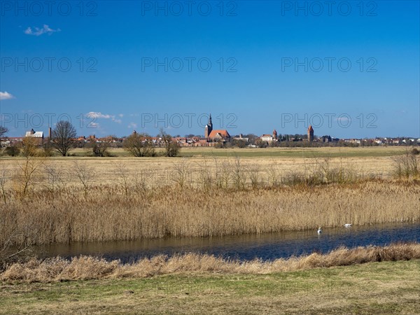 Elbe meadows near Wust-Fischbeck