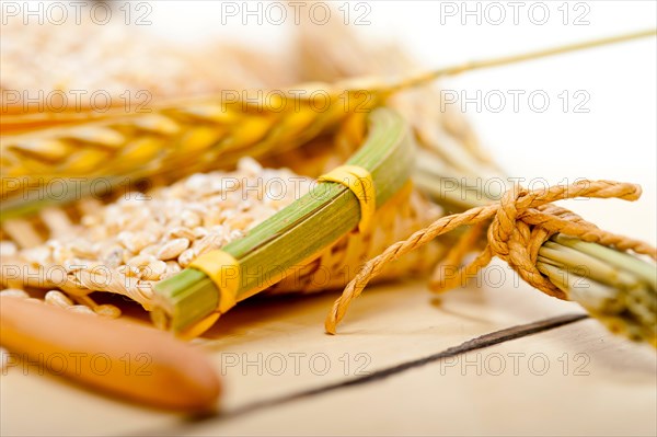 Organic barley grains over rustic wood table macro closeup