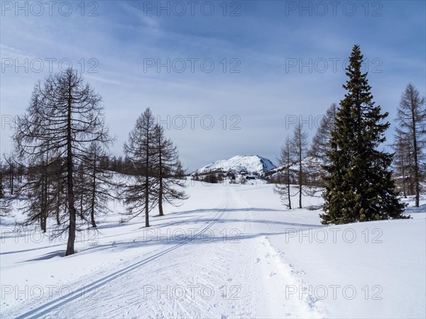 Winter landscape