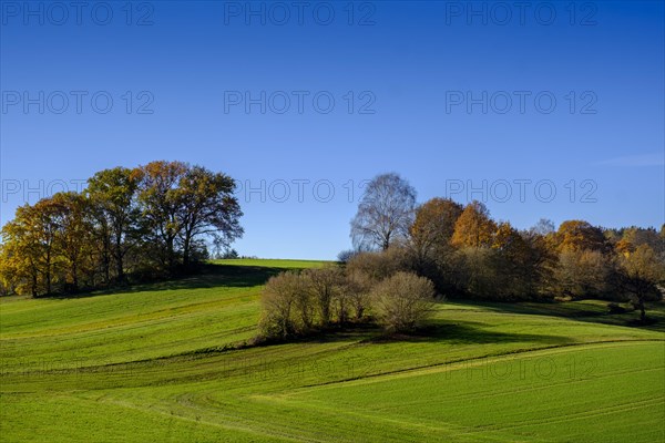 Fields and woods near Doepshofen