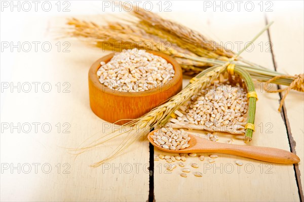 Organic wheat grains over rustic wood table macro closeup