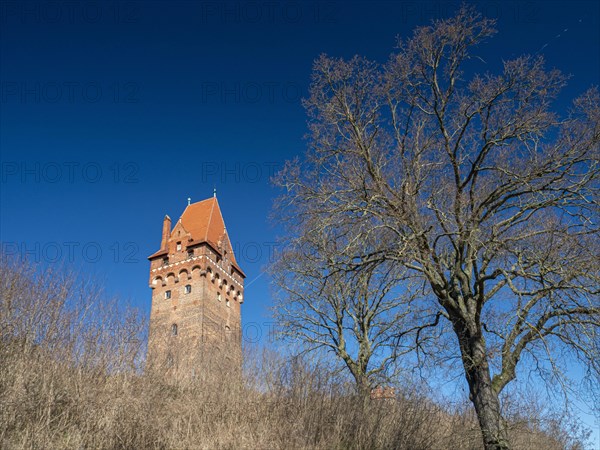 Kapitelturm