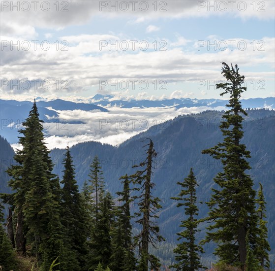 Mountain landscape in clouds