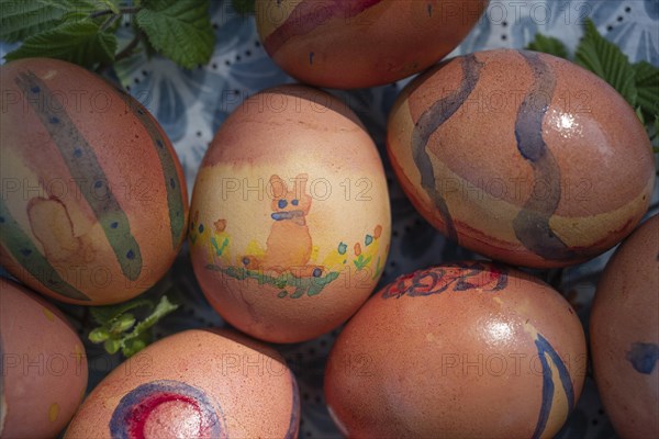 Colourful painted Easter eggs