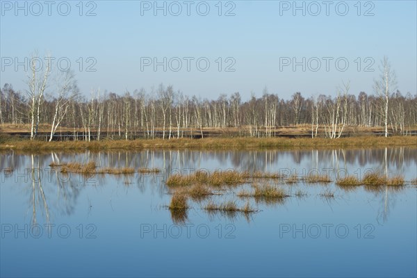 Rewetting area