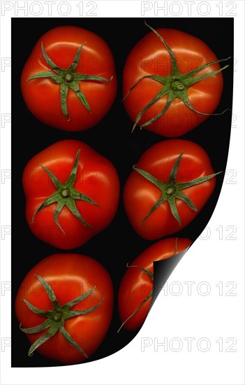 Fresh tomatoes on black background curl distortion effect