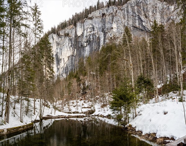 Winter landscape