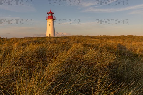 Sunrise at the lighthouse List West at the Lister Ellenbogen