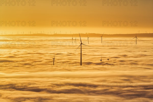 Wind turbines rising from cloud cover