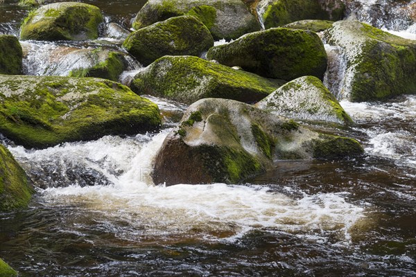 River flowing over stones
