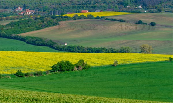 Beautiful and colorful abstract landscape