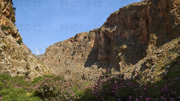 Spring in Crete