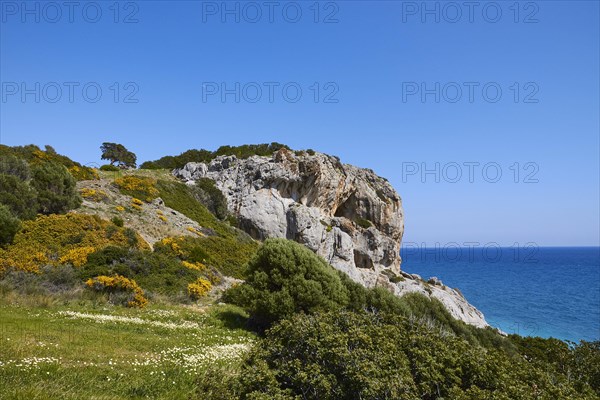 Spring in Crete