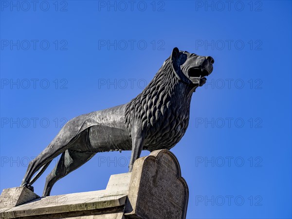 Braunschweig Lion on the Burgplatz