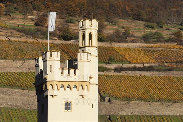 Maeuseturm