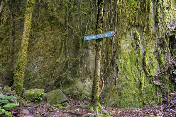Signpost for the waterfall at Rio Savegre