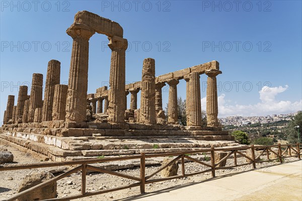 Columns of Juno Temple