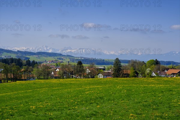 View over Frankau to the Allgaeu mountains