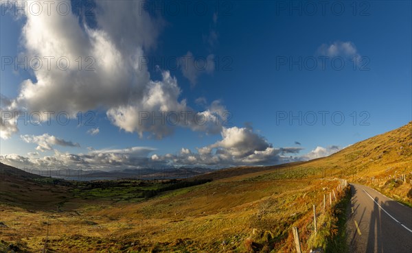 Small road in autumn landscape with cloudy sky