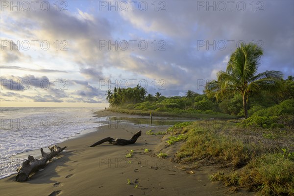 Evening atmosphere on the beach