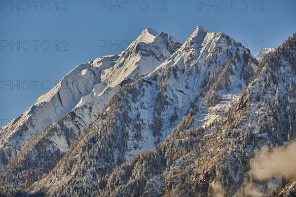 Snowy Mountains with colored European larch