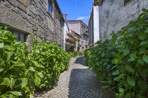 Narrow cobble street with flowers and old stone houses