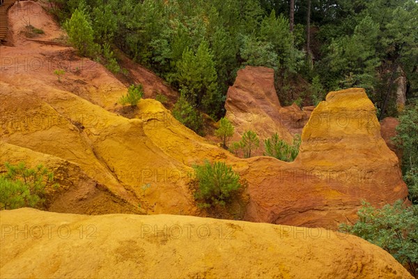 Ochre nature trail