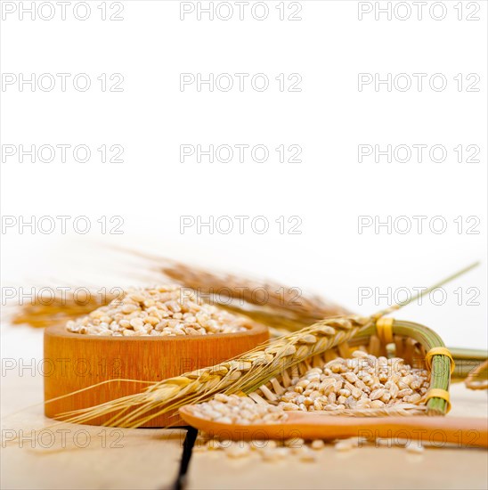 Organic wheat grains over rustic wood table macro closeup