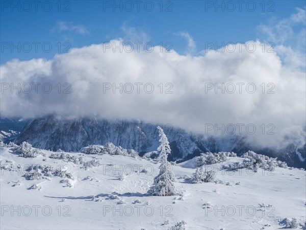 Blue sky over winter landscape