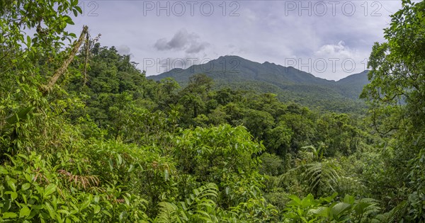 View of the volcano