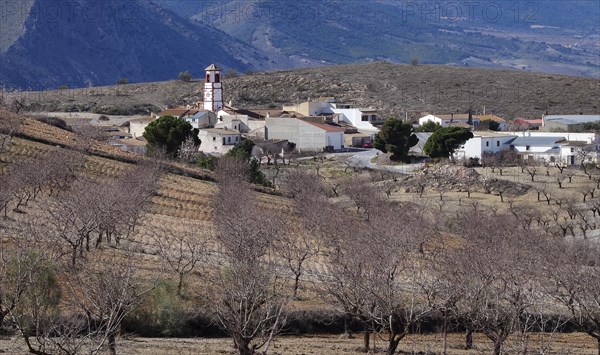 Village Cantal in the middle of almond orchards