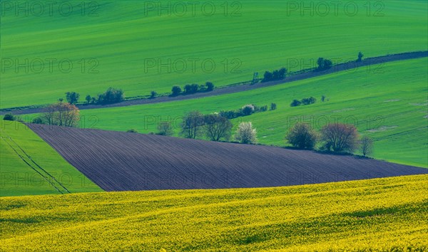 Beautiful and colorful abstract landscape