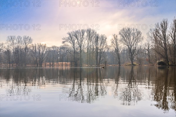 Annateich in Hanover Kleefeld at sunrise