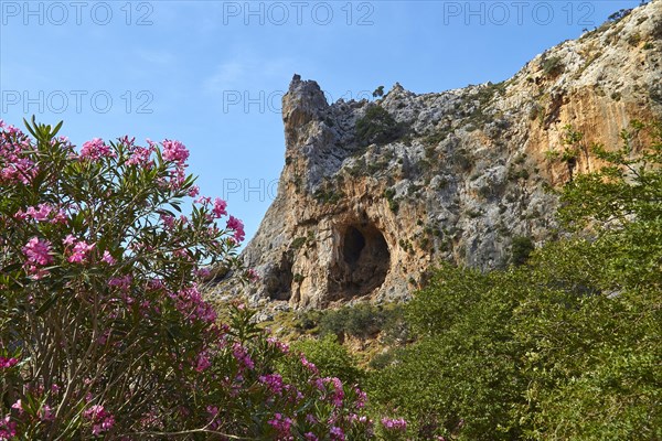 Spring in Crete