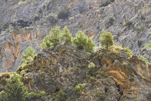 Spring in Crete