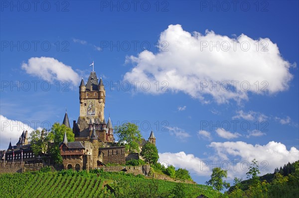 The Reichsburg and vineyards