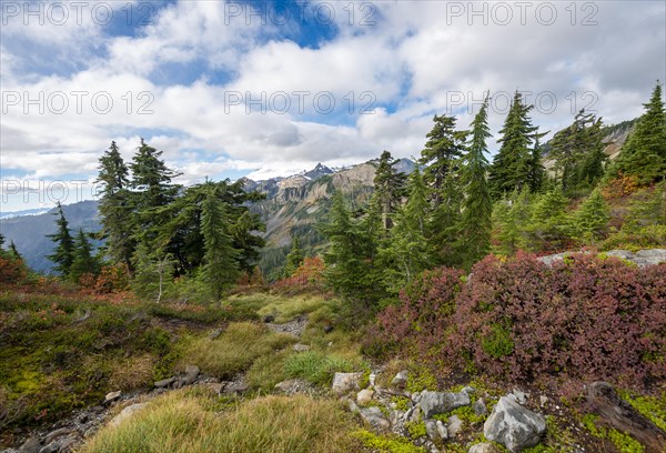 Mountain landscape in autumn