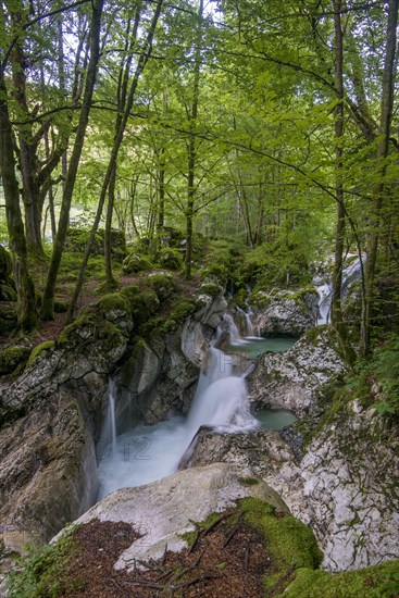 Watercourse of the Lepenjica