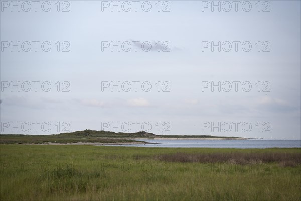 Kalfamer Bird Sanctuary