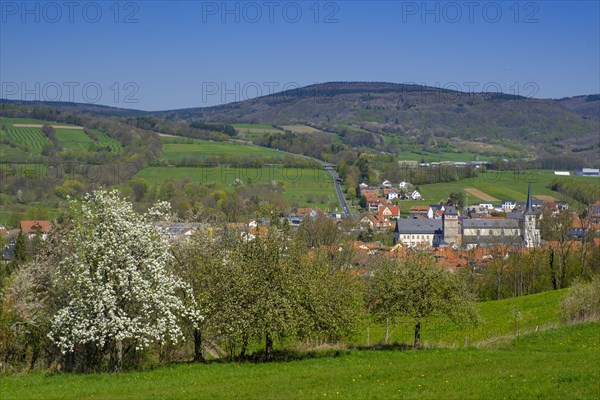 Bischofsheim