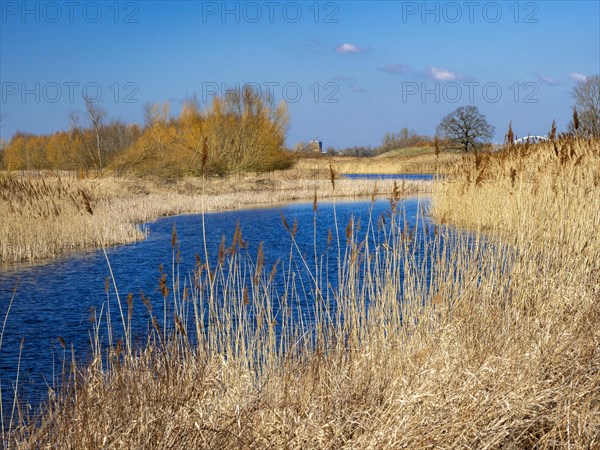 Elbe meadows near Wust-Fischbeck