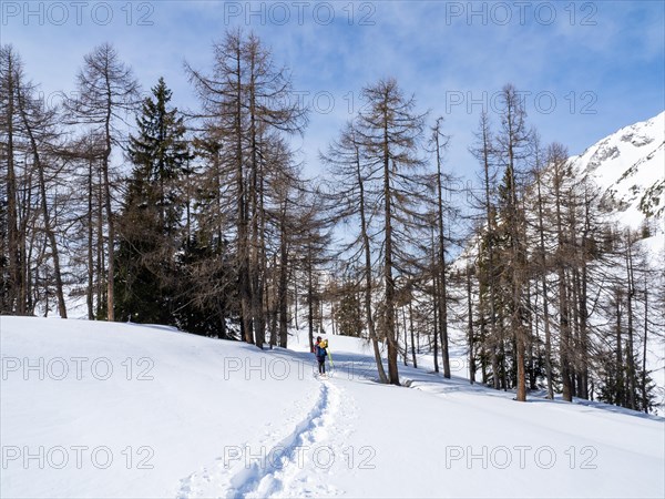 Snowshoe hiker in winter landscape