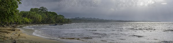 Bay with palm trees