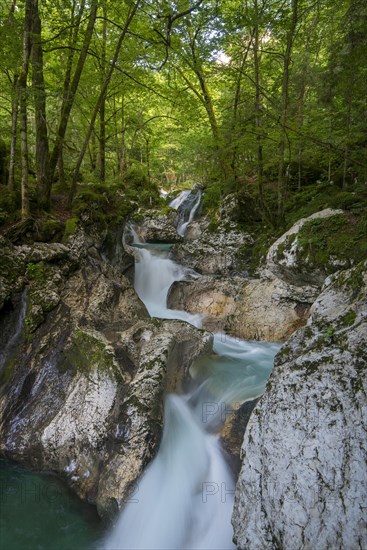 Watercourse of the Lepenjica