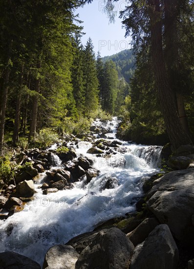 Horlachbach below the Stuibenfall near Umhausen