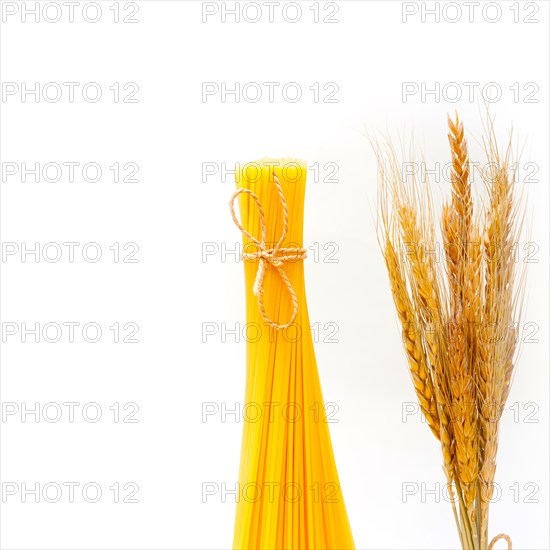 Organic Raw italian pasta and durum wheat grains crop