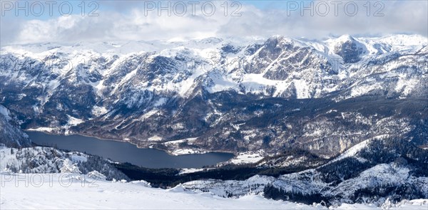 Winter landscape