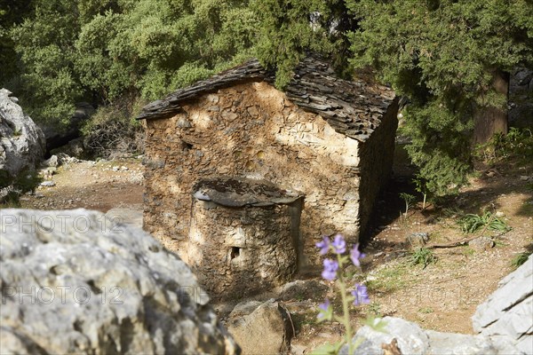 Spring in Crete