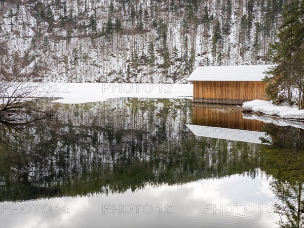 Winter landscape