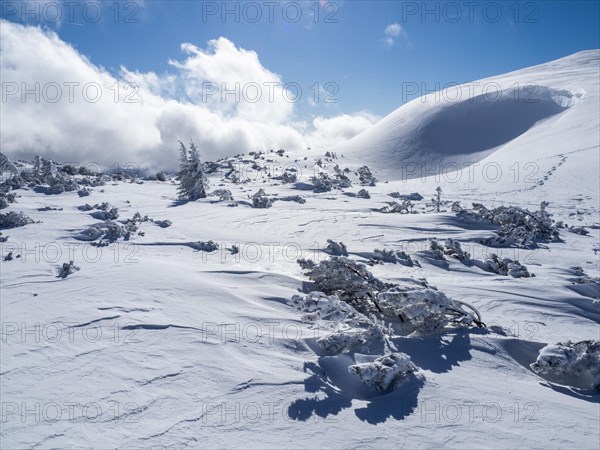 Blue sky over winter landscape